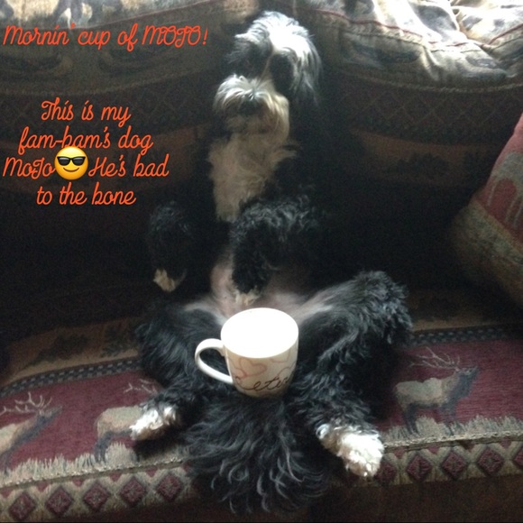 Meet your Posher, Niki. I won't bite🎀❤️ - Picture 6 of 6